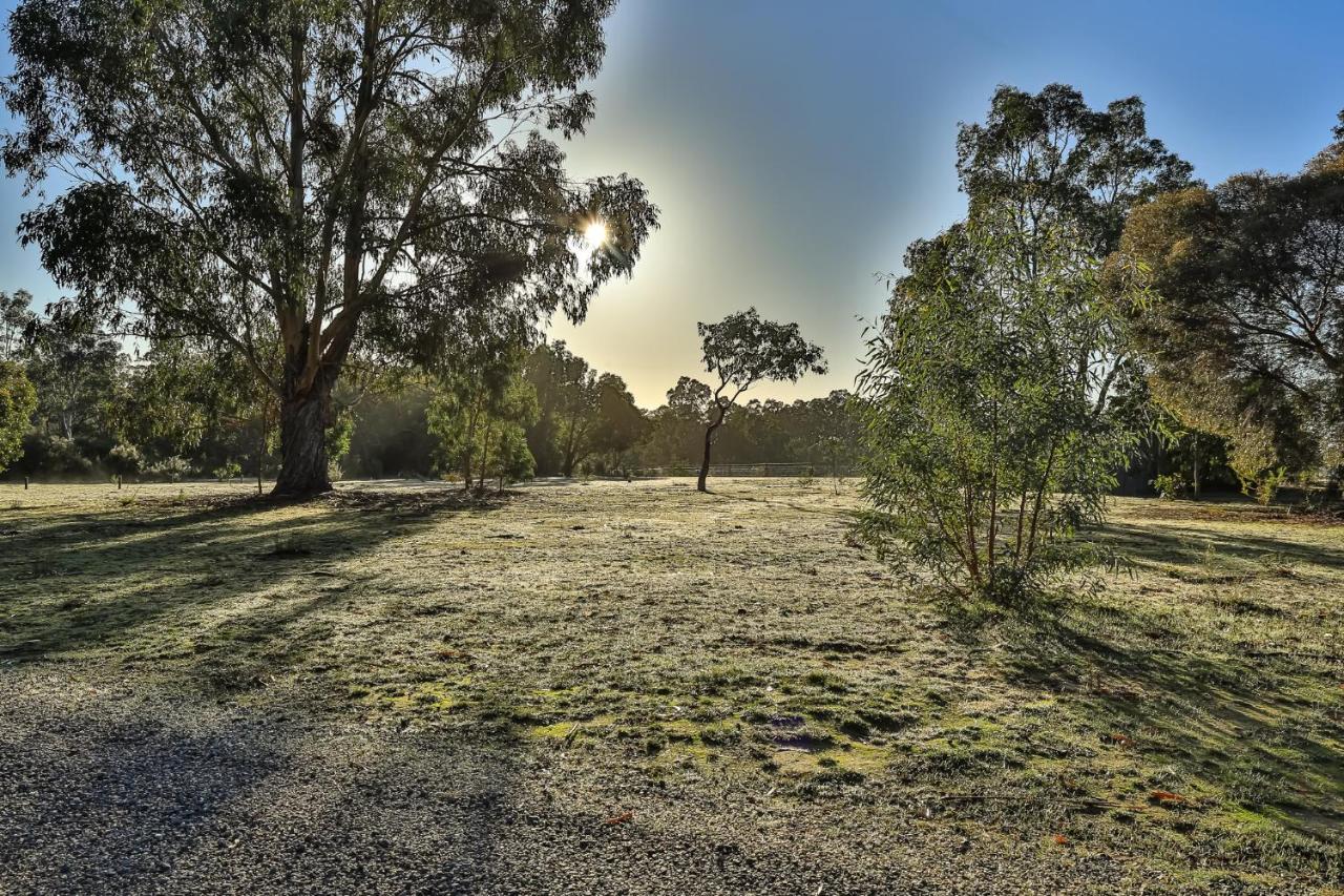 Mountain View Motor Inn & Holiday Lodges Halls Gap Eksteriør billede
