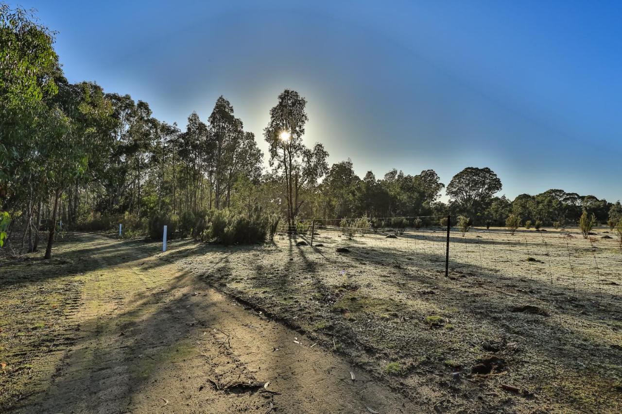 Mountain View Motor Inn & Holiday Lodges Halls Gap Eksteriør billede