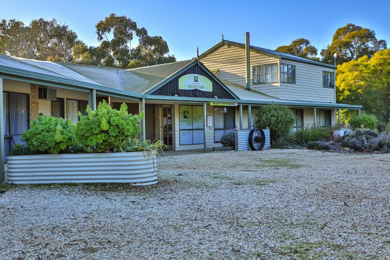 Mountain View Motor Inn & Holiday Lodges Halls Gap Eksteriør billede